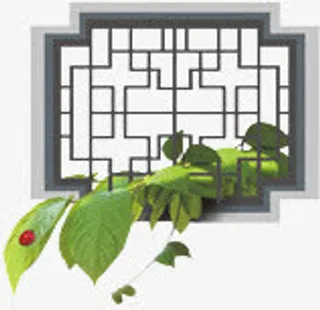 窗外的树枝免抠