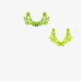 树叶      树叶形状免抠