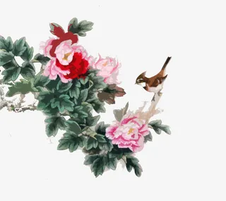 手绘水彩花卉图免抠