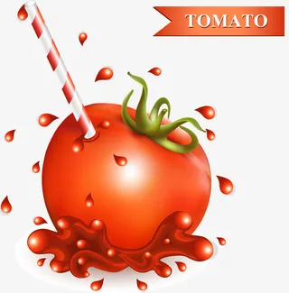 矢量写实西红柿免抠