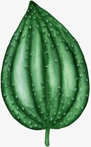 绿色植物卡通手绘免抠