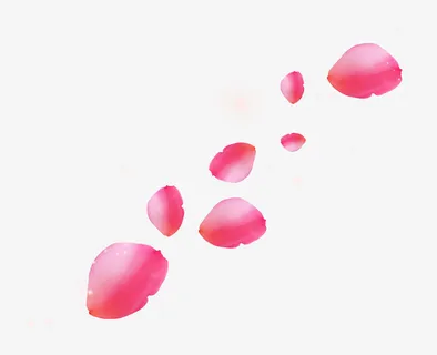 粉色飞舞的花瓣免抠