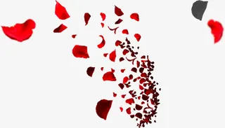 桃花花瓣    节日   鲜花免抠