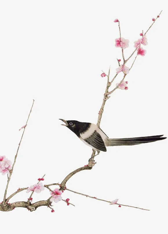 手绘花枝红色花朵喜鹊免抠