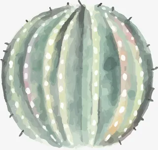 晕染植物免抠素材免抠