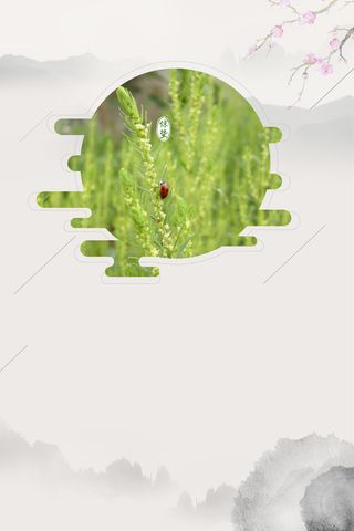 中国风二十四节气惊蛰海报背景素材高清