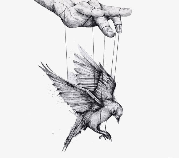 创意素描铅笔画平面免抠