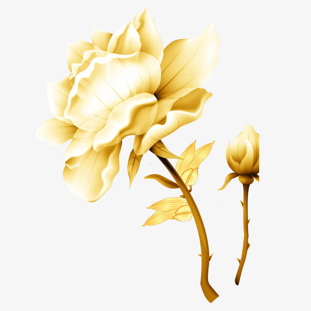 金色月季花免抠