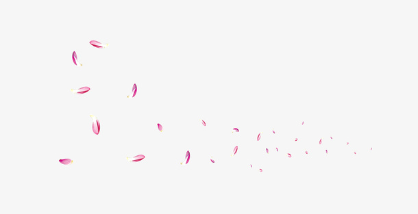 漂浮花瓣免抠