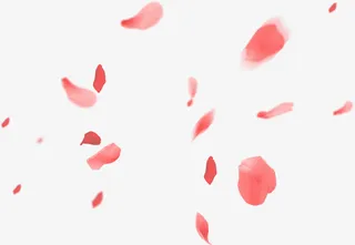 花瓣喜庆元素免抠