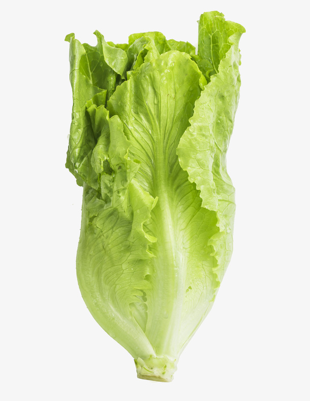 生菜特写免抠