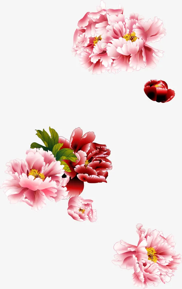 牡丹花工笔设计图免抠