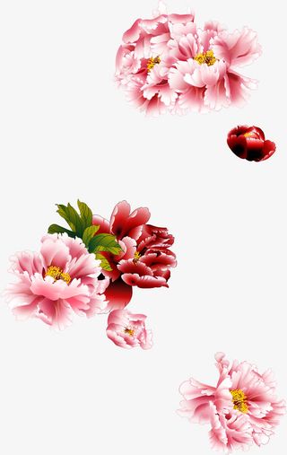 牡丹花工笔设计图免抠