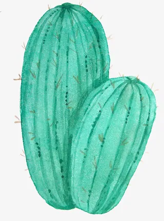 小清新插画广告设计卡通绿色盆栽免抠