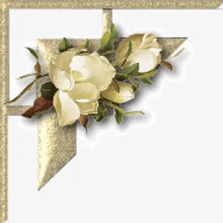 白玫瑰边框免抠