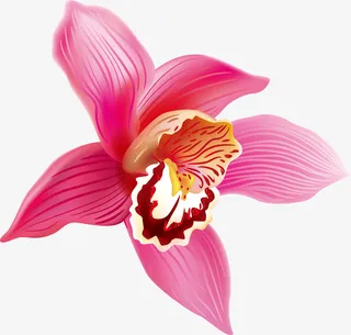 紫色梦幻花朵免抠