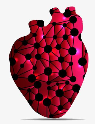 心脏器官免抠