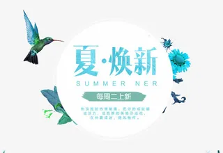 夏焕新艺术字文字排版文案小鸟免抠