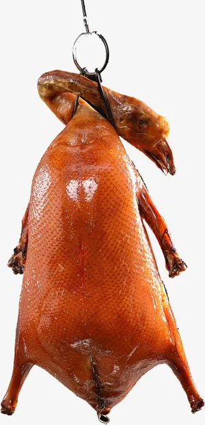 红烧的大肥鹅免抠