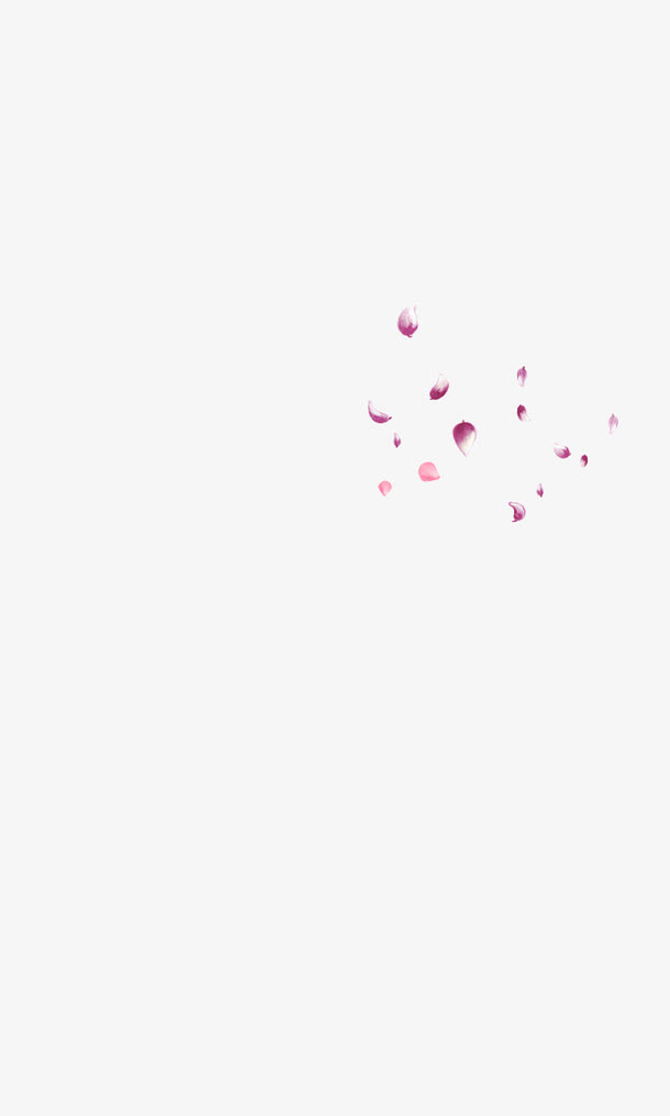 漂浮花瓣免抠
