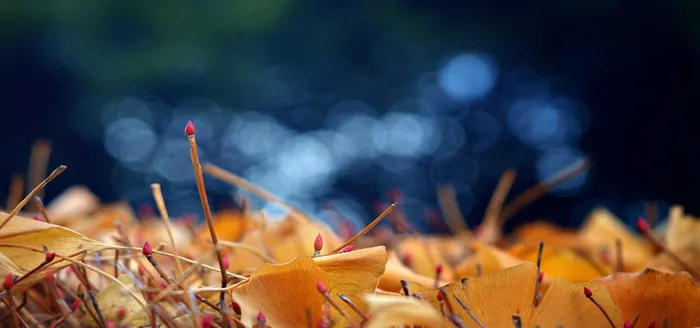 淘宝背景图高清