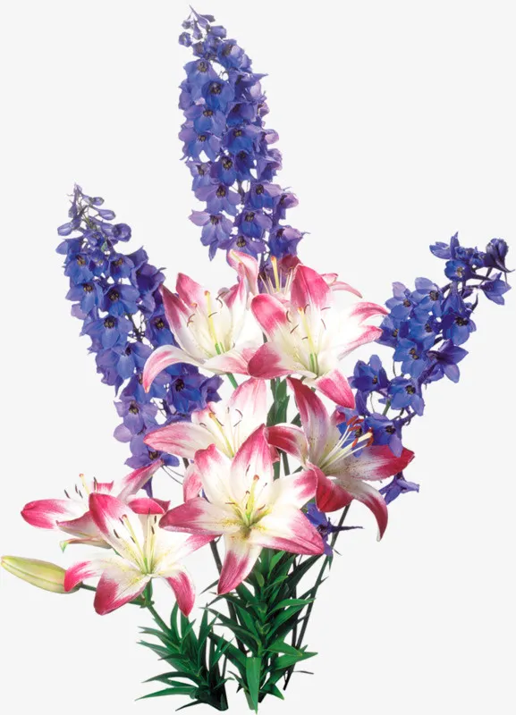 花草画花卉素材免抠