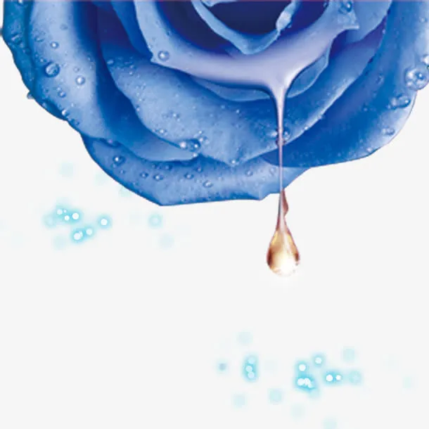 花瓣精华美妆首页免抠