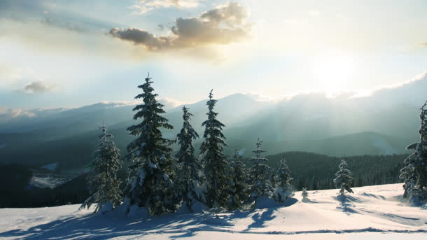 清新雪地树林风景免抠