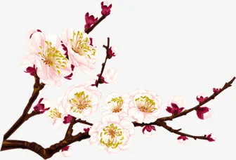 粉色梅花水墨画海报背景七夕情人节