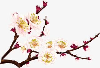 粉色梅花水墨画海报背景七夕情人节
