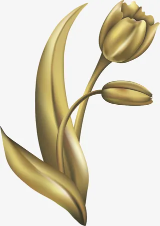 金色康乃馨 花朵免抠