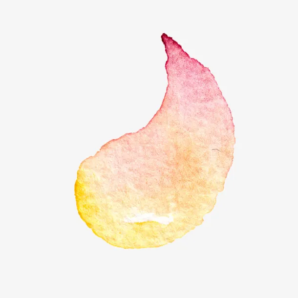 高清免抠手绘水彩花瓣素材免抠