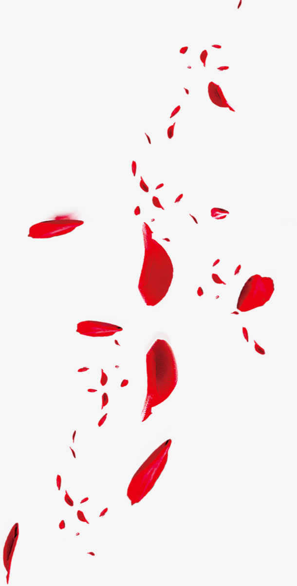 红色情人节漂浮花瓣免抠