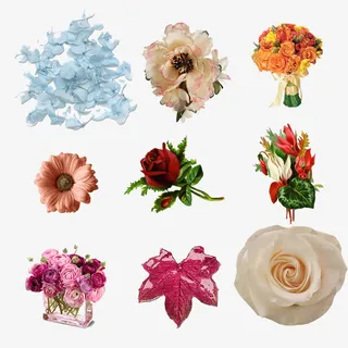 花朵花瓣套图免抠