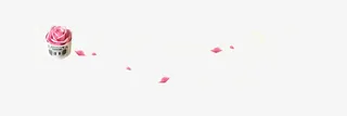花瓣漂浮免抠