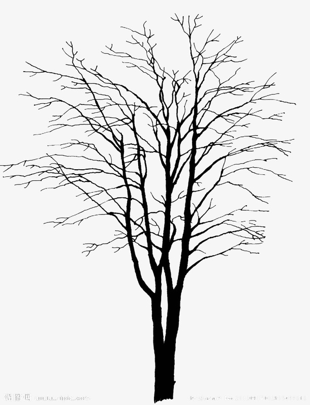 树枝免抠