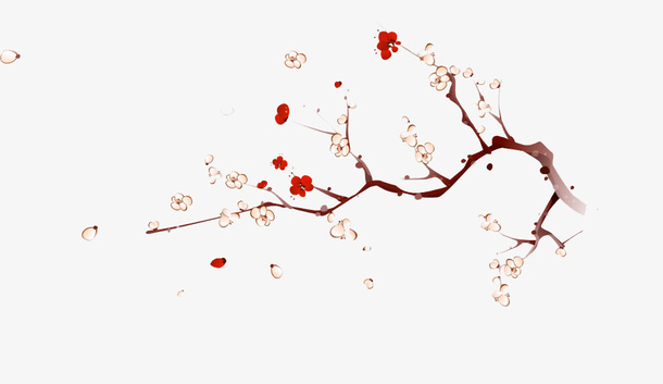 淡雅的梅花梅花免抠装饰植物元素