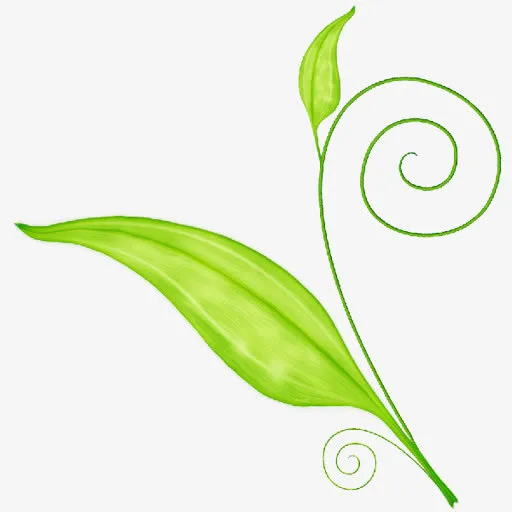 中国风绿色手绘植物免抠