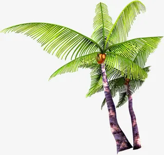 春天海边椰林装饰免抠