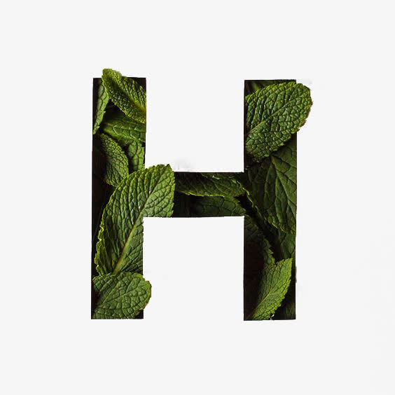 薄荷叶创意英文字体H免抠