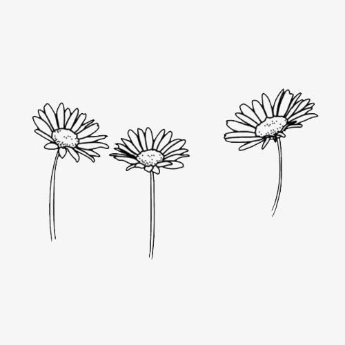 手绘小花免抠
