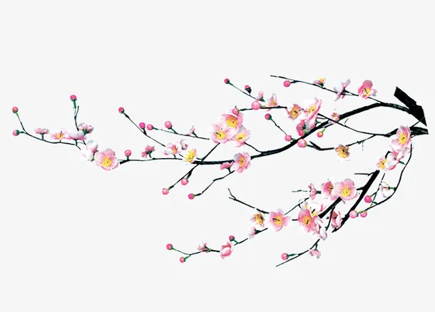 手绘桃花花瓣树枝免抠