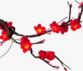 红色梅花免抠