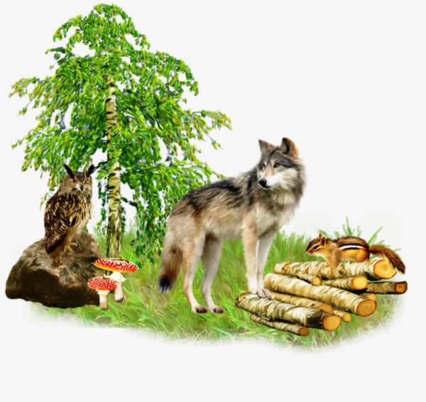 手绘狼和猫头鹰免抠