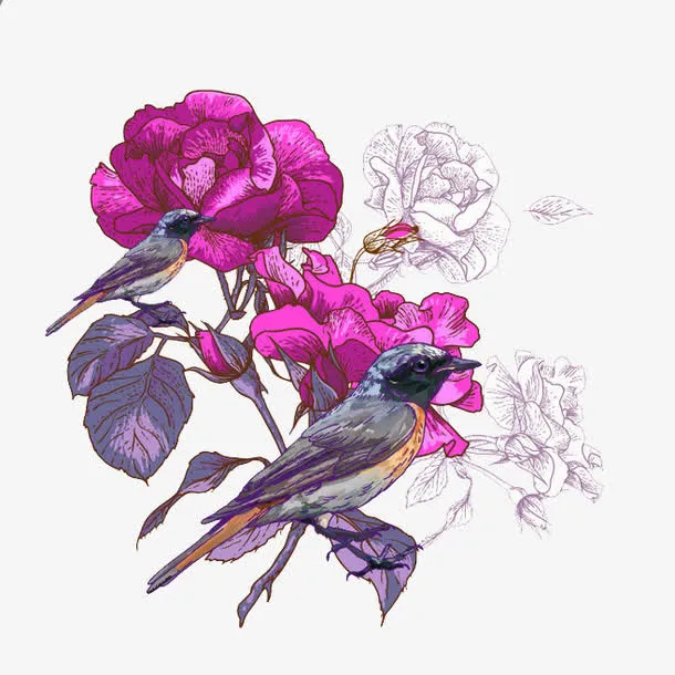 花卉免抠