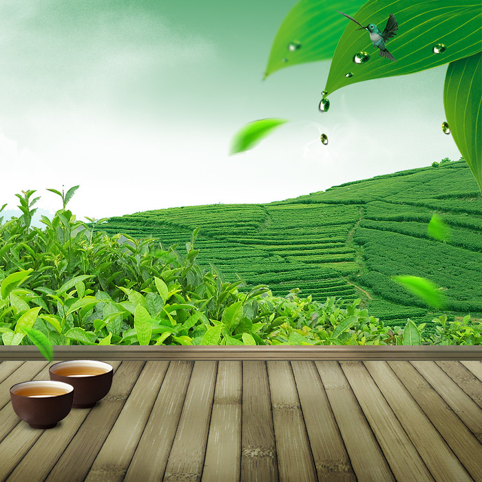 绿色茶园茶叶PSD分层主图背景素材高清摄影风景背景