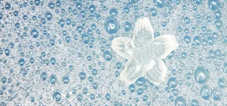 蓝色泡沫花朵背景高清