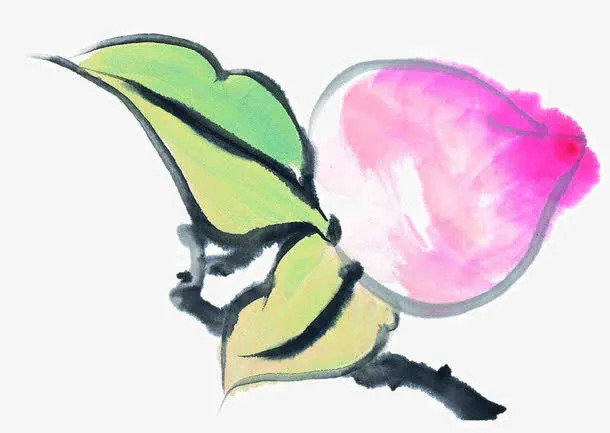 手绘寿桃免抠