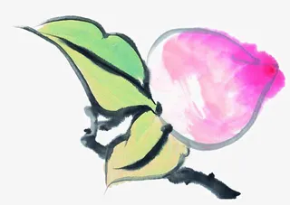 手绘寿桃免抠
