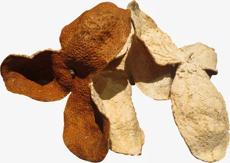 橙色干桔子皮茶叶免抠